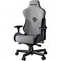 Кресло игровое Anda Seat T-Pro 2 Grey/Black Size XL (AD12XLLA-01-GB-F) (U0864836)