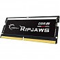 Модуль памяти для ноутбука SoDIMM DDR5 16GB 4800 MHz Ripjaws G.Skill (F5-4800S3838A16GX1-RS) (U0909481)