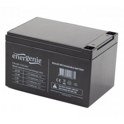 Батарея к ИБП EnerGenie 12В 12 Ач (BAT-12V12AH) (U0125462)