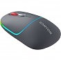 Мышка Canyon MW-22 Dual Band RGB Wireless Dark Grey (CNS-CMSW22DG) (U0895714)