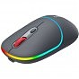 Мышка Canyon MW-22 Dual Band RGB Wireless Dark Grey (CNS-CMSW22DG) (U0895714)