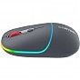 Мышка Canyon MW-22 Dual Band RGB Wireless Dark Grey (CNS-CMSW22DG) (U0895714)