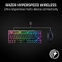 Мышка Razer Viper V3 HyperSpeed Wireless Black (RZ01-04910100-R3M1) (U0879008)