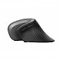 Мышка Trust Verro Ergonomic Wireless Black (23507) (U0421862)