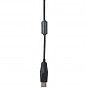 Мышка Gembird MUS-UL-02 USB Black (MUS-UL-02) (U0864593)