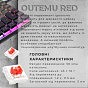 Клавіатура GamePro MK141R Red Swich Low Profile RGB USB Dark Gray (MK141R) (U0968322)