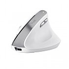 Мышка Trust Bayo II Ergonomic Wireless White (25398)