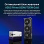Видеокарта ASUS GeForce RTX5070 12Gb PRIME OC (PRIME-RTX5070-O12G) (U1011328)