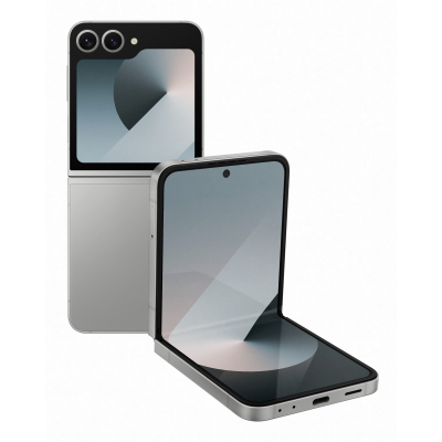 Мобільний телефон Samsung Galaxy Flip6 12/256Gb Silver Shadow (SM-F741BZSGSEK) (U0945941)
