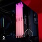 Модуль памяти для компьютера DDR4 16GB 3733 MHz Beast RGB Kingston Fury (ex.HyperX) (KF437C19BB12A/16) (U0874230)
