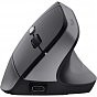 Мишка Trust Bayo 2 Ergonomic Wireless/USB-A Black (25145) (U0920729)