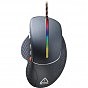 Мишка Canyon Apstar USB Black (CND-SGM12RGB) (U0458139)