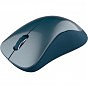 Мышка Canyon MW-11 Wireless Pixart Blue (CNE-CMSW11BL) (U0502739)