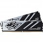 Модуль памяти для компьютера DDR5 32GB (2x16GB) 5200 MHz Panther Apacer (AH5U32G52C5227BAA-2) (U1018575)