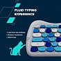 Комплект Canyon HSET-W6 Kitty Edition Wireless UA Blue (CNS-HSETW6BL) (U1030961)